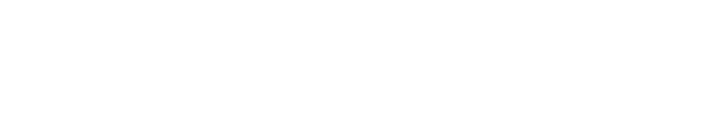 Partner 3