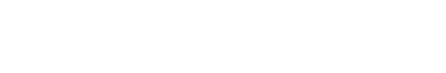 Partner 2
